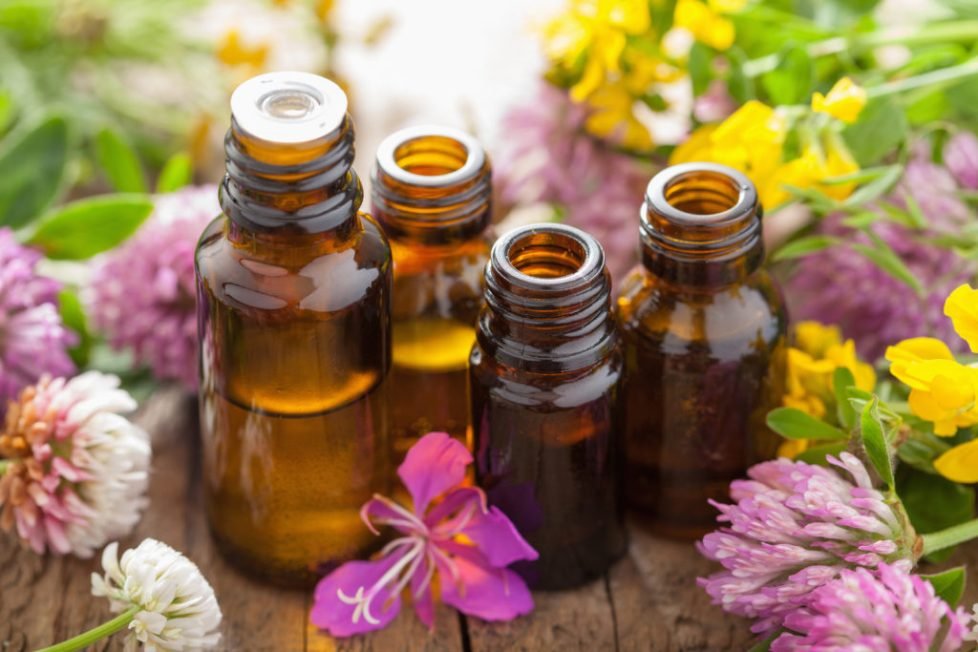 essential oils and medical flowers herbs essential oils and medical flowers herbs